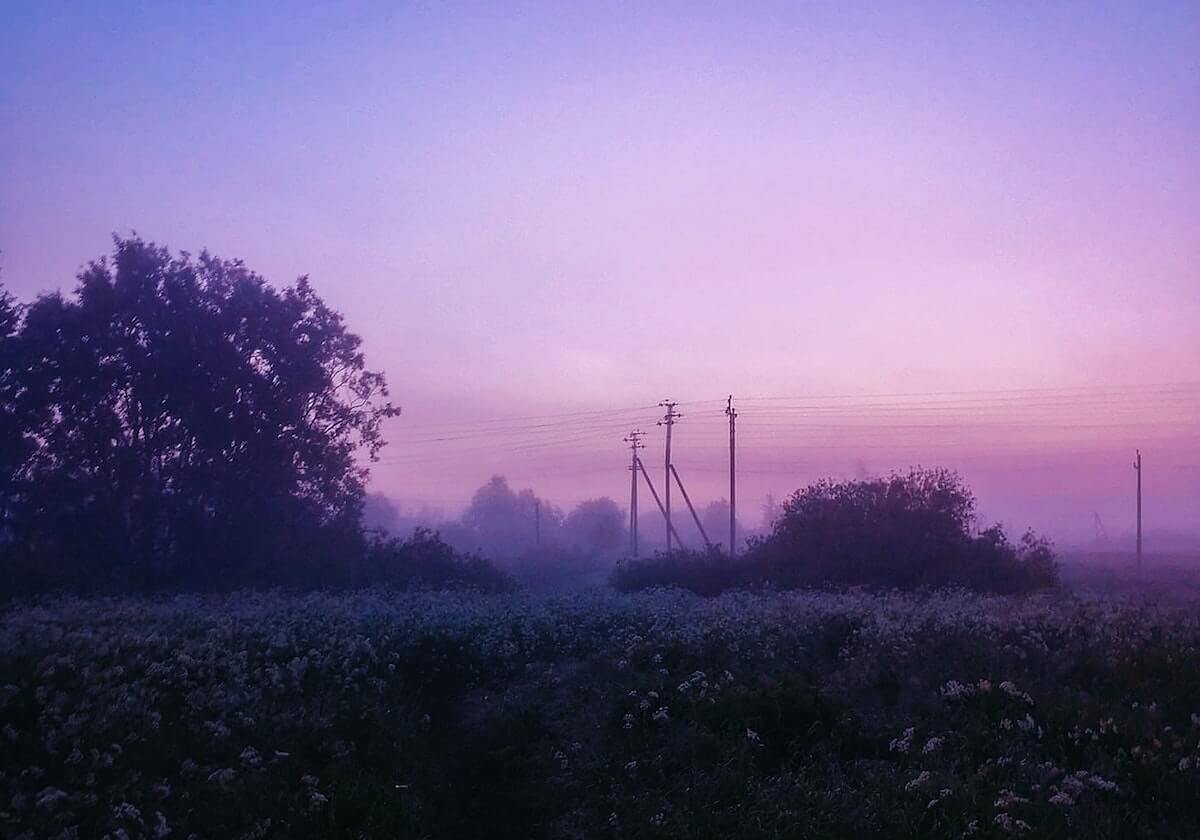 500网彩票网-哈维+布罗金顿就位 辽篮阵容得到补强